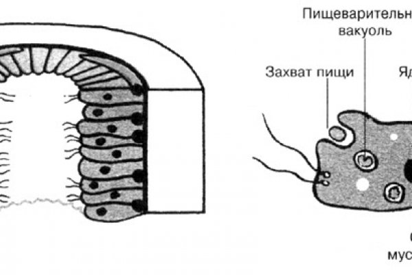 Браузер для кракен