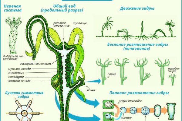 Kraken зеркала gigageek ru