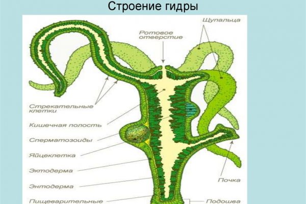 Кракен маркет даркнет скачать